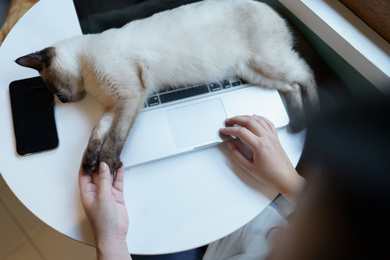 【はじめてのご依頼の流れ｜安心してご利用いただくために】