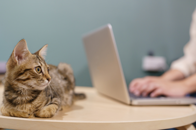 【丁寧な作業が求められる理由｜事務代行で大切にしていること】