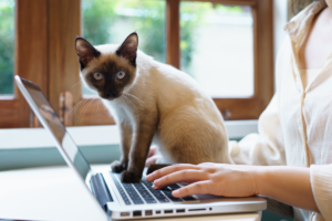 投稿についてもっと詳しく
 【事務代行って何を頼めるの？はじめての方向けガイド】